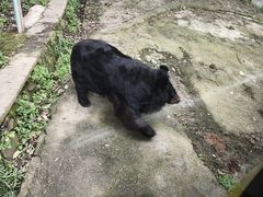-乐和乐都主题乐园