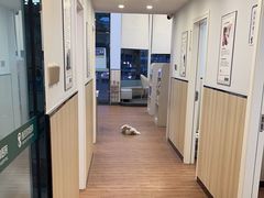 -瑞派紫金宠物医院24小时·骨科·中兽医·重症转诊中心(番禺大石院)