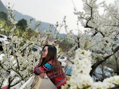 -楠柏弯休闲山庄(梨花溪店)