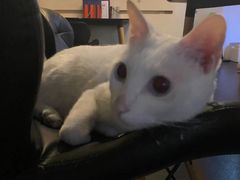 -Doors独立剧情密室(东门分店)