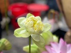 -苏面斋·本地传统苏式面馆