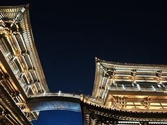 -龙天小镇