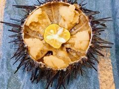 -海胆小馆(东北水饺·春柳店)