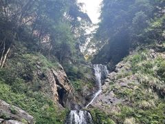 -石台牯牛降景区