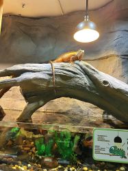 -Zoolung Zoolung动物主题公园(海信广场店)