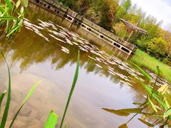 -吴淞炮台湾湿地森林公园烧烤区