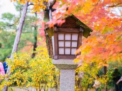 -常寂光寺