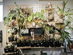 -Rabbit Cafe私房西餐甜点咖啡(栖霞路店)