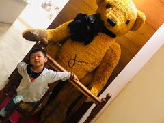 -济州岛泰迪熊博物馆