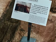 -南越王博物院(王宫展区)