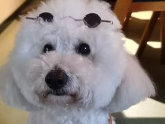 -小草屋轰趴馆别墅派对新场团建家庭聚会