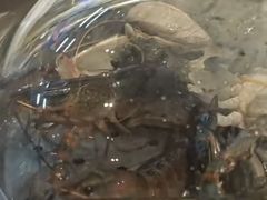 -争先鲜·蒸汽海鲜自助·鲜切牛肉
