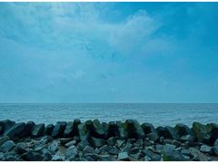 -南汇嘴观海公园