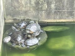 -方山风景区定林寺