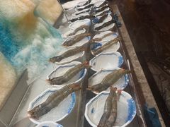 -丰卓会海鲜自助(中润大道店)