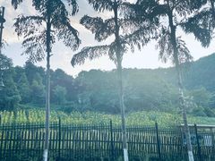 -重庆海昌加勒比海水世界