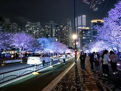 -西北湖绿化广场