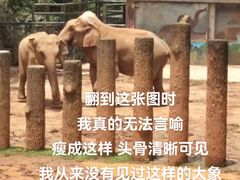 -昆明动物园