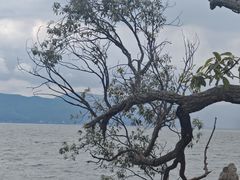 -抚仙湖禄充风景区
