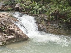 -广州白江湖森林公园