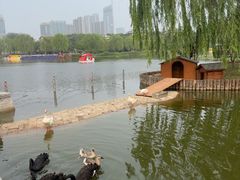 -西海子公园