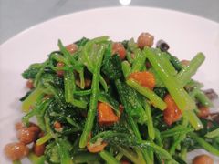 -听涛雅苑百味饺子老家菜馆