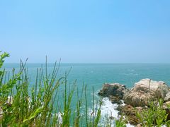 -小麦岛公园