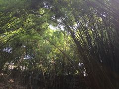 -东部华侨城