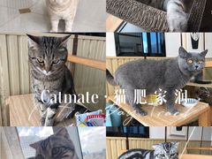 -Catmate·猫肥家润(金润铂宫店)