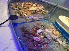 -澜悦港海鲜体验主题餐厅