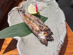 -花潮料理艺食馆(SM新生活广场店)