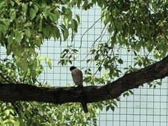 -南京邮电大学(仙林校区)