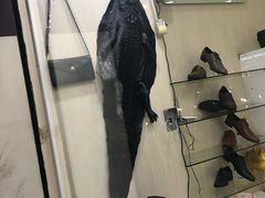 -耶稣圣心堂