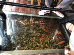 -颐和•海鲜砂锅粥•啫啫煲(奥林匹克广场店)