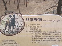 -大连森林动物园