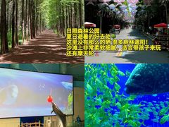 -日照海滨国家森林公园