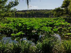 -承德避暑山庄景区