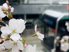 -上海南浦大桥长途旅游客运站
