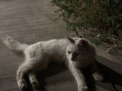 -鬼笑石后山停车场