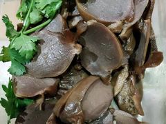 -乌文新澄海卤鹅店