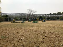 -上海都市菜园