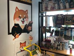 -柴犬高等学院·狗咖·柴犬售卖·宠物训练