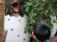 -呀路古热带植物园