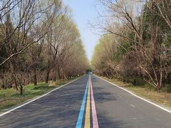 -同里国家湿地公园