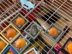 -蓝湾碧波·老字号·疍家非遗海上餐厅