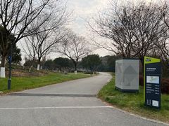 -贡湖湾湿地公园