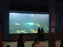 -洛阳龙门海洋馆
