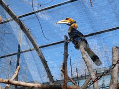 -济南野生动物世界