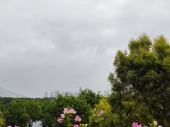 -厦门园林博览苑
