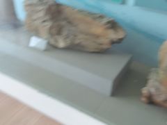 -延庆地质公园博物馆